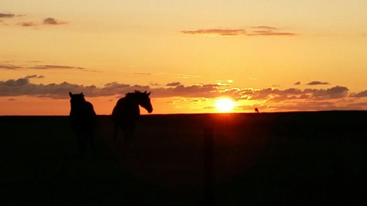 Sonnenuntergang Sonnenuntergang